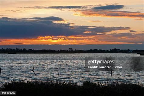 Etang De Vaccares Photos And Premium High Res Pictures Getty Images