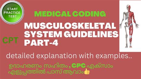 Musculoskeletal System Guidelines And Practice Questions Part 4