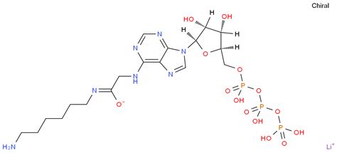 23 Dideoxyadenosine 5 Triphosphate Lithium Salt 93939 70 9 Wiki