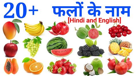 20 fruits Name in hindi and English with pictures फल क नम phalo