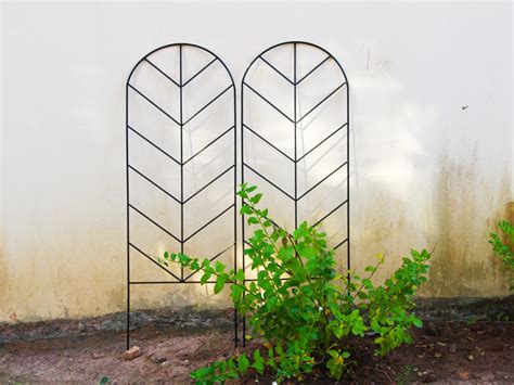 Amazon SCENDOR 2 Pack Trellis For Climbing Plants Outdoor 45 H X