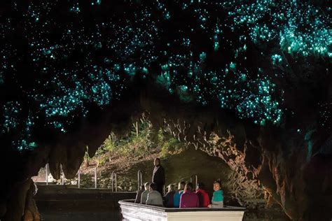 13 Things to KNOW Before Visiting Waitomo Caves, NZ (My Top Tips!)