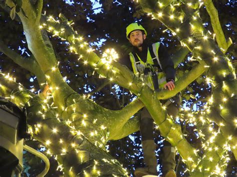 Ainsdale Boasts One Of Regions Most Spectacular Tree Lighting