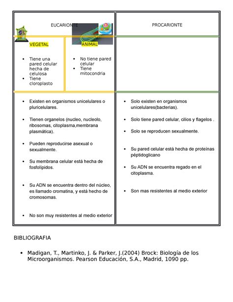 Cuadro Comparativo Celula Eucarionte Y Procarionte Mariana