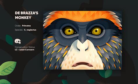 Old World Monkeys on Behance