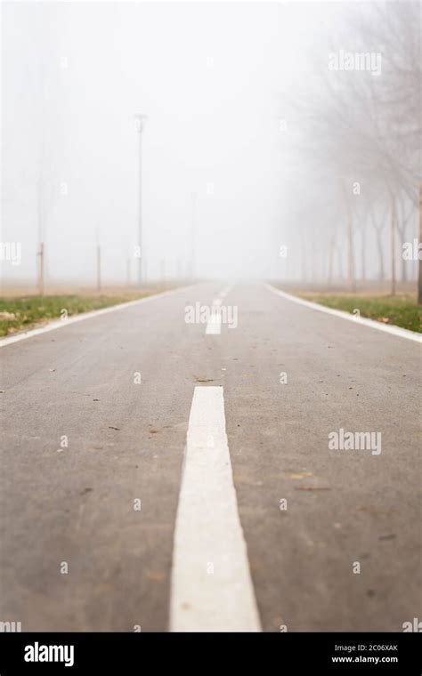 View At Bike Path In The Foggy Winter Day Stock Photo Alamy