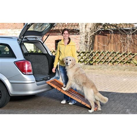 Best Dog Ramp For Car & Less Agile Dogs - The Car Stuff