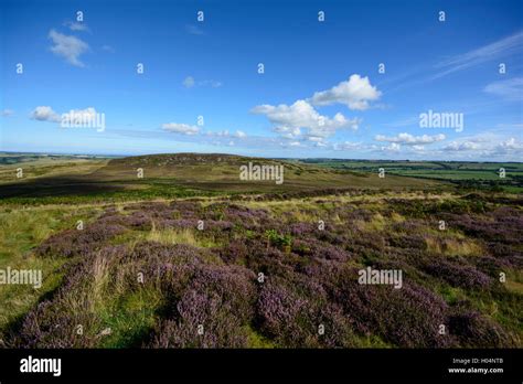 View from Iron age hill fort Stock Photo - Alamy