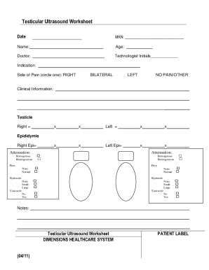 Fillable Online Testicular Ultrasound Worksheet Netsolhost Fax