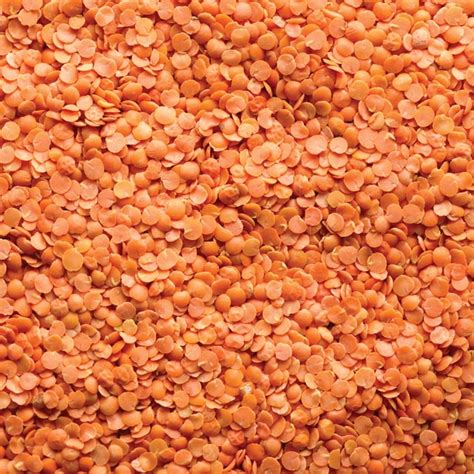 Red Split Lentils The Little Green Pantry