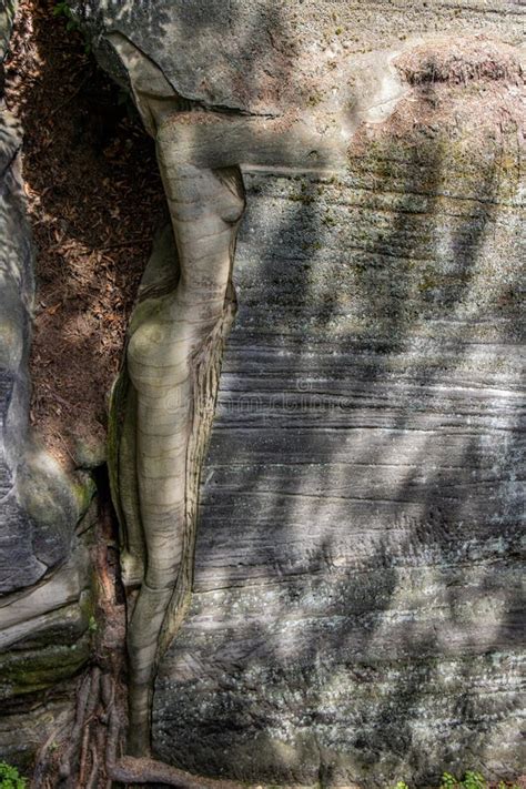 A Naked Body Of A Woman Carved Into A Rock In A Nature Stock Image Image Of Republic Forest