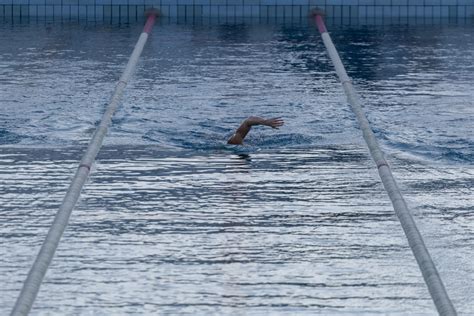 ACCUEIL Les Dauphins Du TOEC