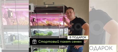 Домашняя ферма Гидропонная установка купить в Санкт-Петербурге | Товары ...