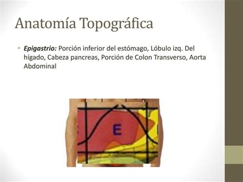 Semiologia Abdominal Ppt