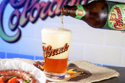 Urso Beer Descubra A Novo Bar De Cerveja Em Guas Claras Metr Poles