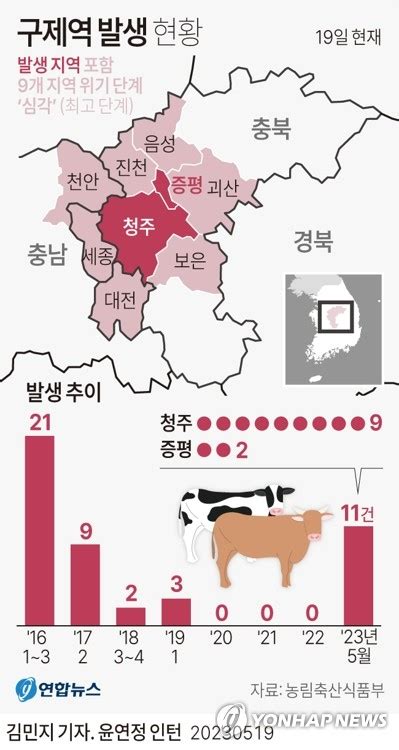 청주·증평 대전 세종 등 9개 시·군 구제역 경보 최고단계 ‘심각 발령 부산일보