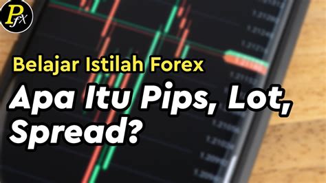 Apa Itu Pips Lot Dan Spread Dalam Trading Forex Simak Penjelasan