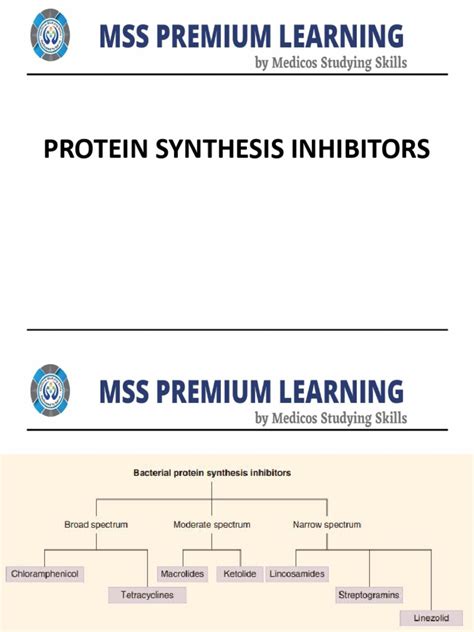 Lecture 14 Protein Synthesis Inhibitors | PDF | Pharmacology | Antibiotics