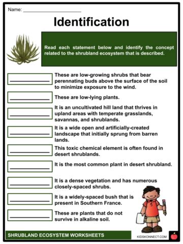 Shrubland Ecosystem Worksheets | Features, Examples, Plants