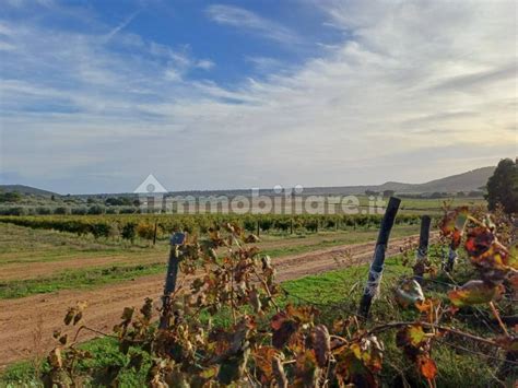 Terreno Agricolo Castiglione Della Pescaia Rif