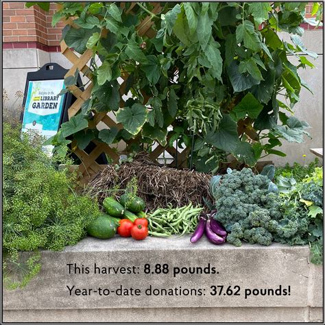 Westmont Public Library - Home | Facebook