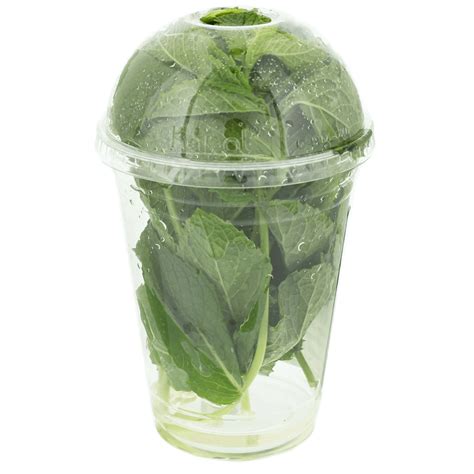 Mint Propagation - Success with Questions! : r/propagation
