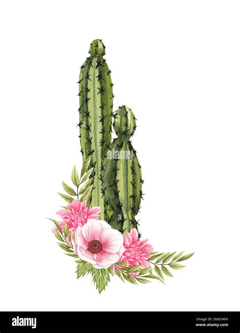 Watercolor Floral Cactus Western Cactus And Flowers Farmhouse Rustic