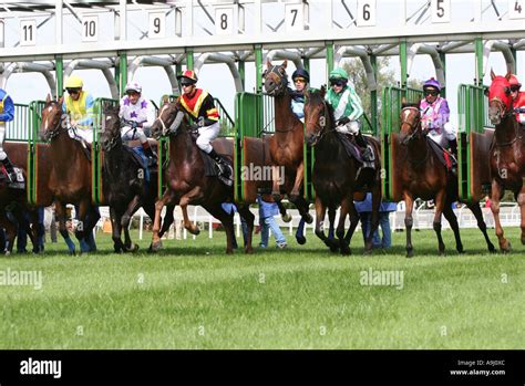 Racehorses Starting Germany Baden Wuerttemberg Baden Baden Stock