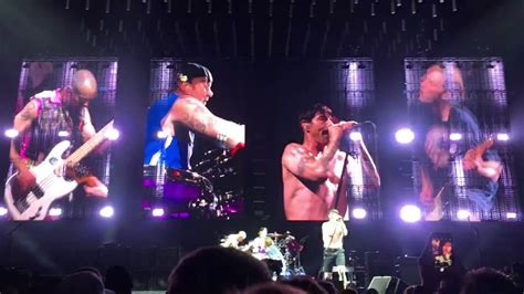 Red Hot Chili Peppers Suck My Kiss YouTube