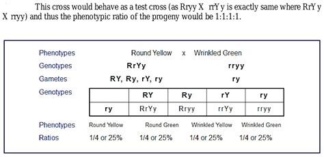 Genotype Ratio