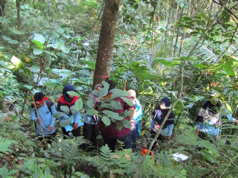 Diklat Lapangan Biosc Biology Orchid Study Club Di Curug Setawing