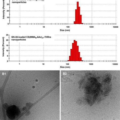 Characterization Of Sn Loaded Nanoparticles A Size Distribution