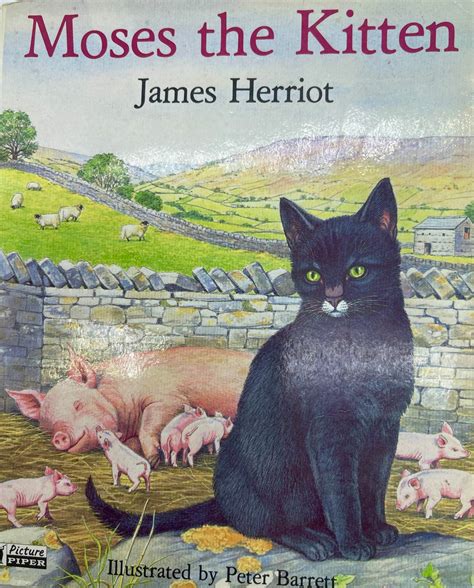 Moses The Kitten Childrens Book By James Herriot And Etsy