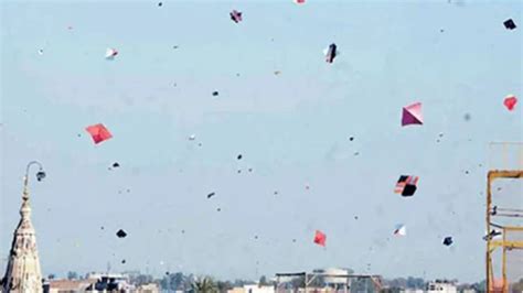 Punjab Govt Imposes One Month Ban On Kite Flying