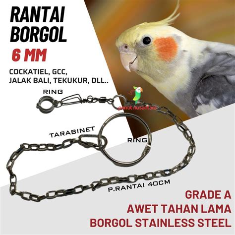 Jual Set Rantai Dan Borgol Burung Falk Parkit Australia Shopee