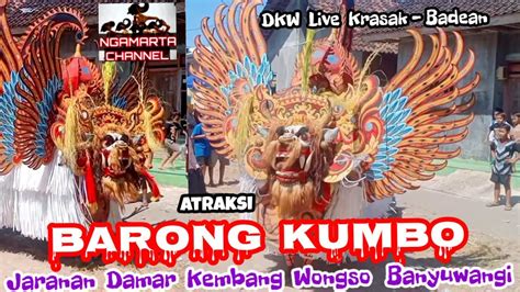 Atraksi Barong Vs Macan Jaranan Damar Kembang Wongso Banyuwangi