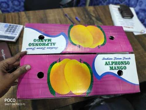 Mango Box Mango Box Manufacturers And Suppliers Dealers