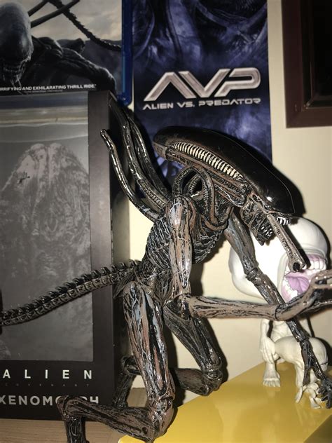 Best Xenomorphs Images On Pholder Lv Pics And Action Figures