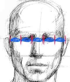 Portrait art tutorial - lesson on the basic structure & proportions of ...