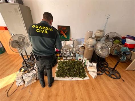 La Guardia Civil Desmantela En Baena Una Plantaci N Indoor De