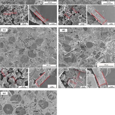 Sem Images Of Fracture Surface Of Dia Sic After Removal Residual Si A