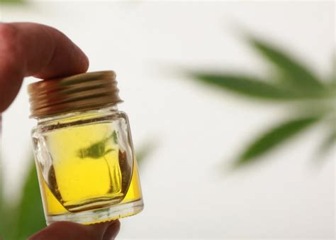 8 Amazing Cannabis Oil Benefits and How to Use It | WellMe