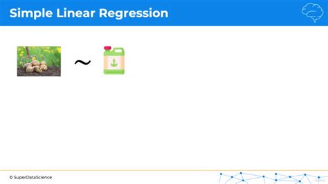 Machine Learning A Z Ai Python R Chatgpt Bonus Simple