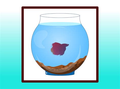 How to Clean a Betta Fish Tank: 10 Steps (with Pictures)