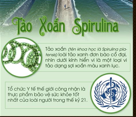 tư vấn định hướng nghề nghiệp Tảo xoắn Spirulina Đại Việt