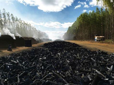 Geographically!: Theme 2 - Brazil - The Miracle of the Cerrado