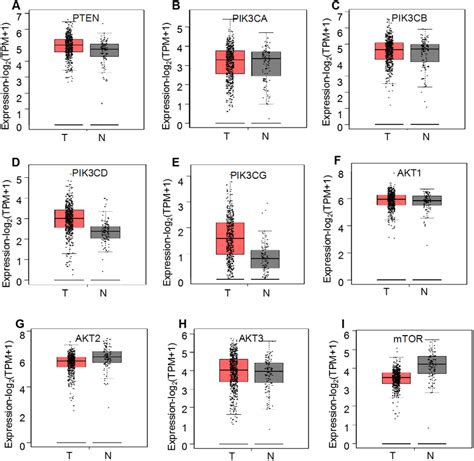 Gepia Mrna Expression Profiles Of Pi3k Akt Mtor Signaling Pathway