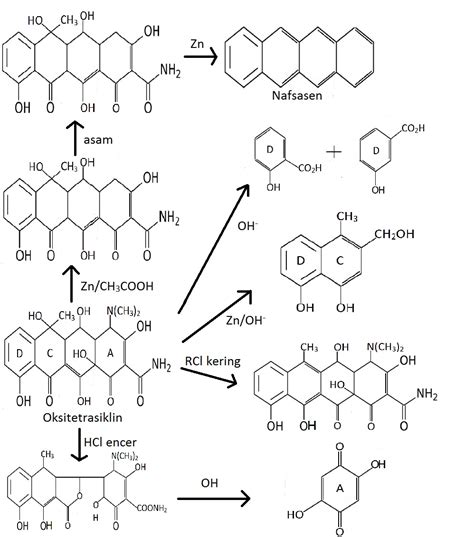 NAY blog's: biosintesis tetrasiklin