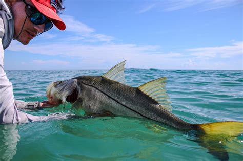 Fort Pierce And The Waters Of St Lucie Might Be The First And Best