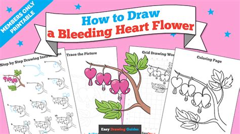 How To Draw A Bleeding Heart Step By Step